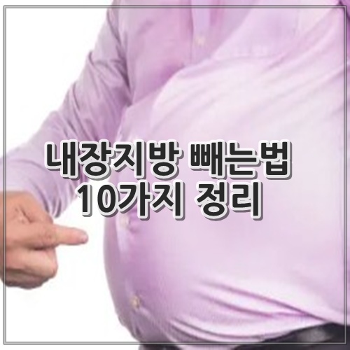 내장지방 빼는법 10가지 정리