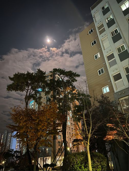아이폰 달사진 찍는법 일반 달 사진