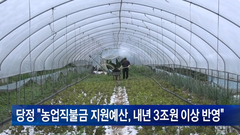 농업직불금-확대