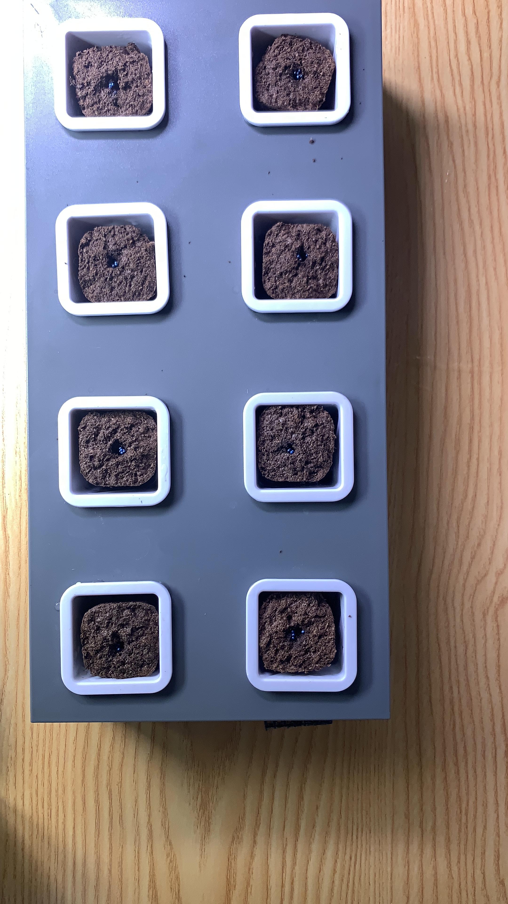 집에서 시작하는 수경재배 방법