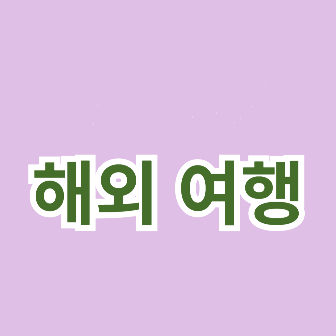 해외 여행 후 귀국 시 필요한 절차와 주의사항