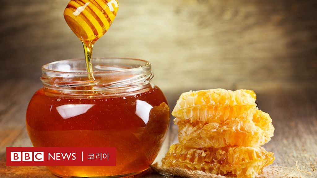 꿀 관련 사진