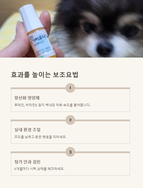 효과를 높이는 보조요법