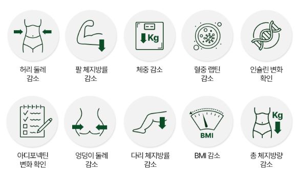 소우코우-이소비텍신-효과