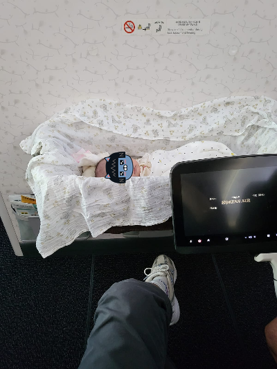 신생아베시넷사용후기