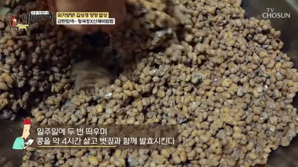 백반기행-청국장-산채비빔밥-양양