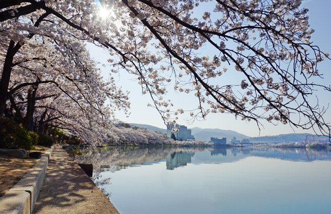 보문호수