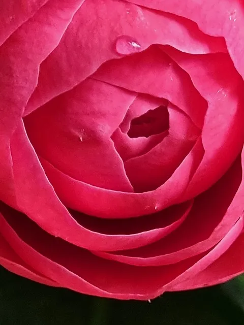 부산 맛집 강서구 대저 할매 국수 추천_9