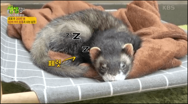 생생정보 수달동물원 안내