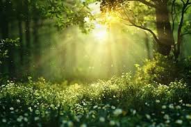 정부 지원 평생교육 이용권