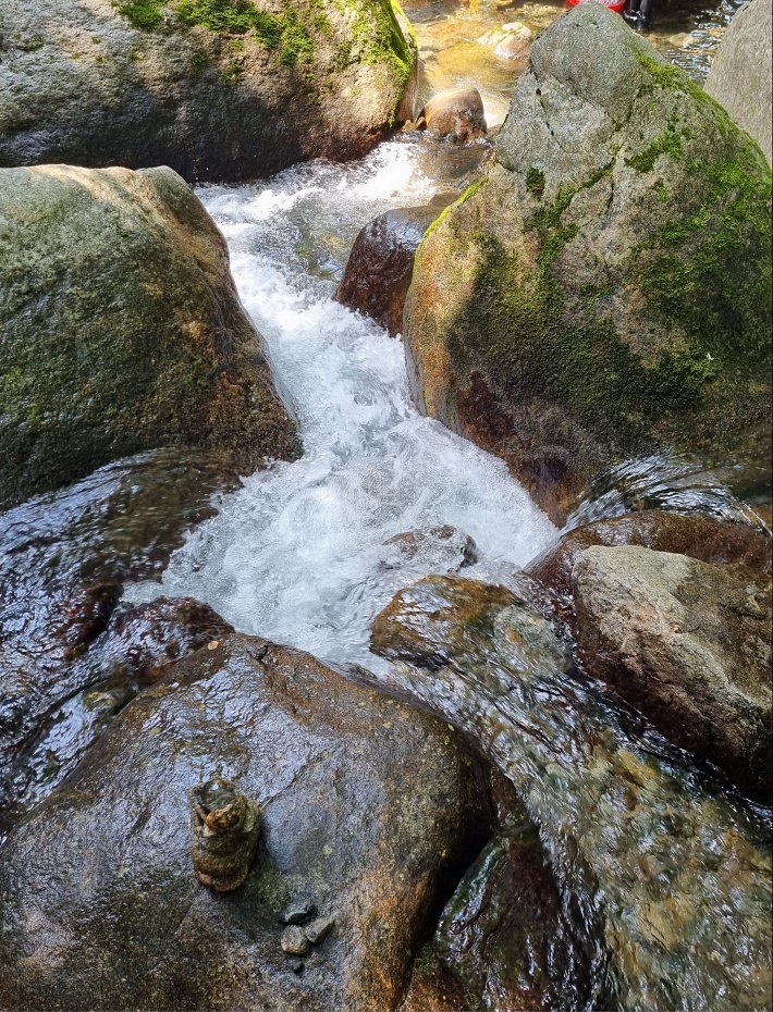 지리산 하동 쌍계사 계곡 신진식당 옆 신흥식당: 계곡 물놀이&amp;#44; 발 담그고 백숙 먹기