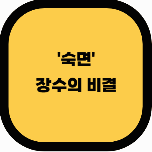 수면이 장수의 열쇠? 100세까지 건강하게 사는 사람들의 숙면 습관