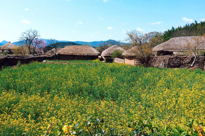 순천여행 필수 코스! 자연과 감성이 공존하는 힐링 여행지 추천