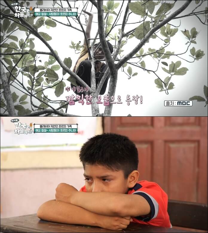 볼리비아-포르피주니어