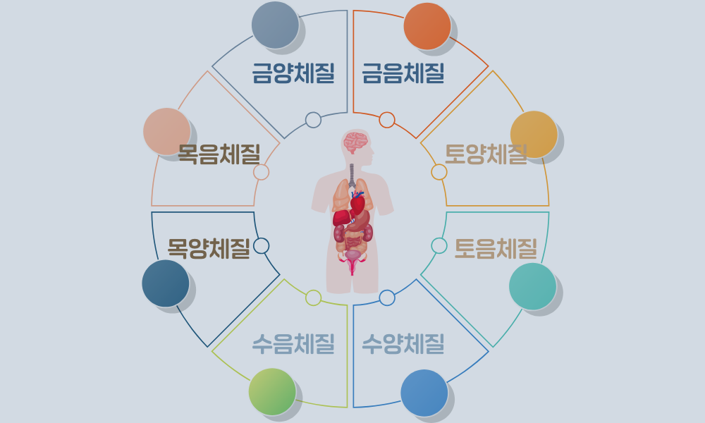 8체질