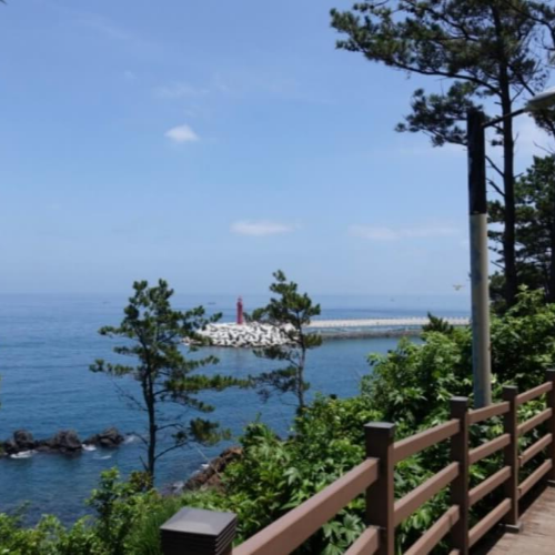 제주공항 근처 놀거리 볼거리 가볼만한곳