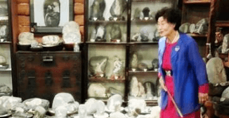 가을 바다 열차 여행 추천