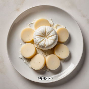 모짜렐라 치즈 보관법