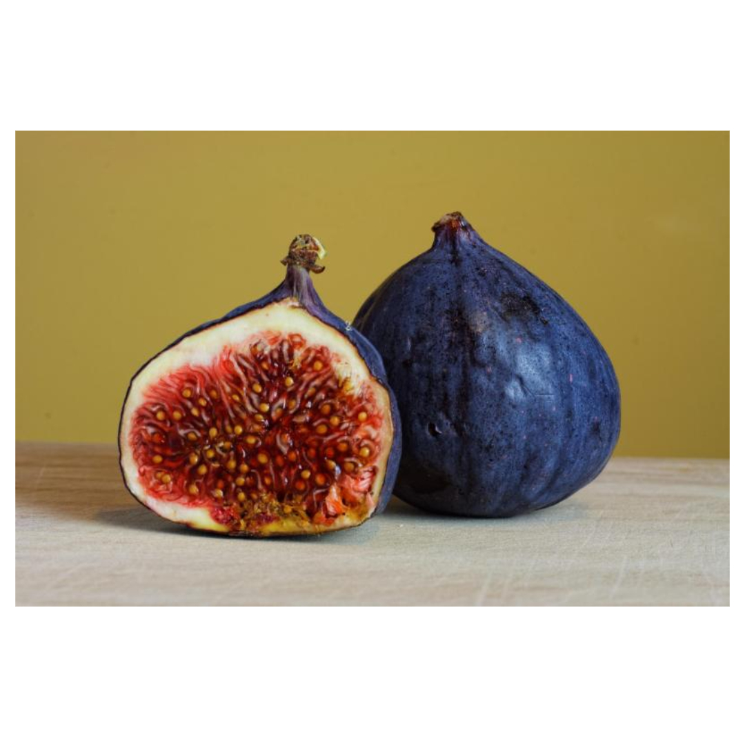 무화과와 관련된 사진입니다.