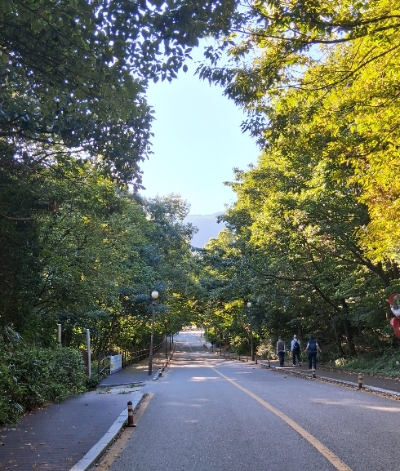 원효사에서 토끼봉쪽으로 올라가는길