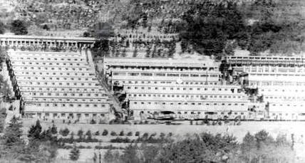 한국 현대사의 어두운 그림자: 형제복지원과 국가 폭력의 기록