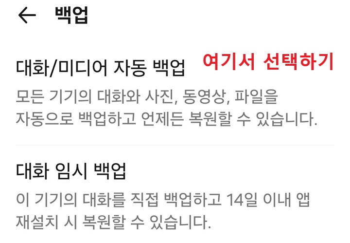 백업 페이지에 대화/미디어 자동 백업, 대화 임시 백업 메뉴 보임