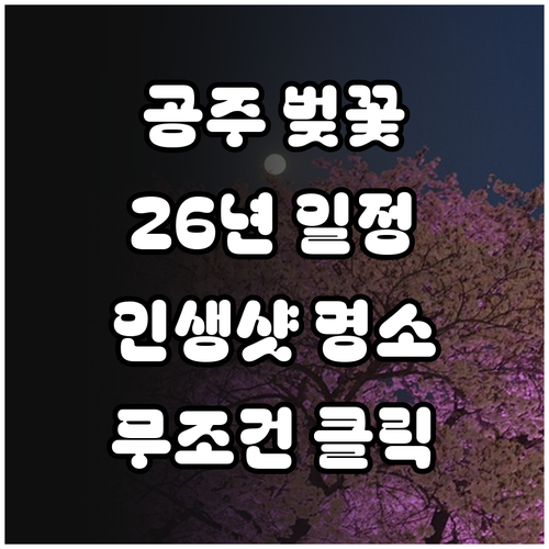 공주 벚꽃 명소 추천과 2026년 개..
