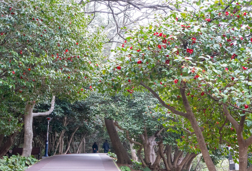 한려해상국립공원 (오동도)1