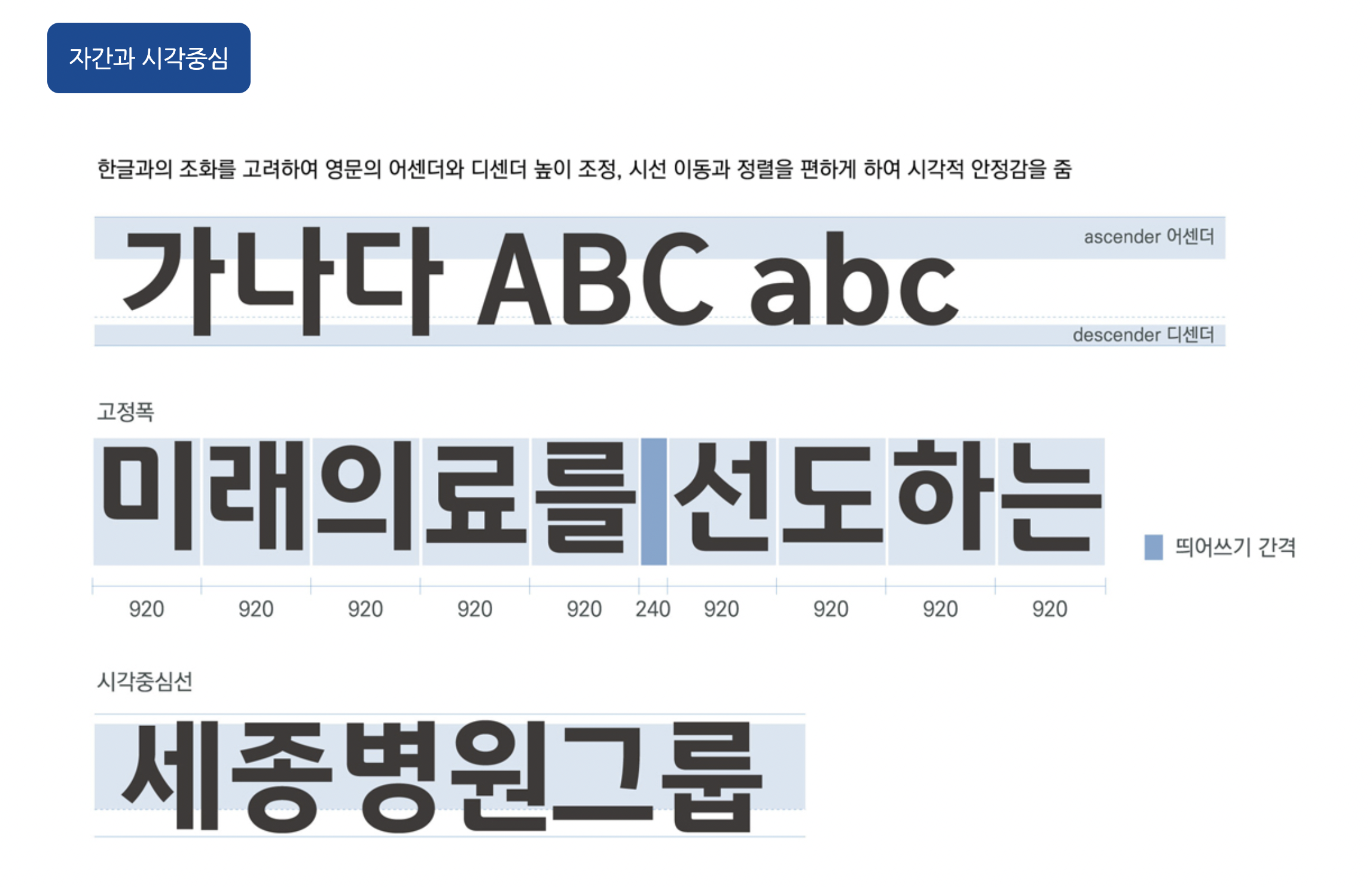 세종병원체 자간과 시각중심