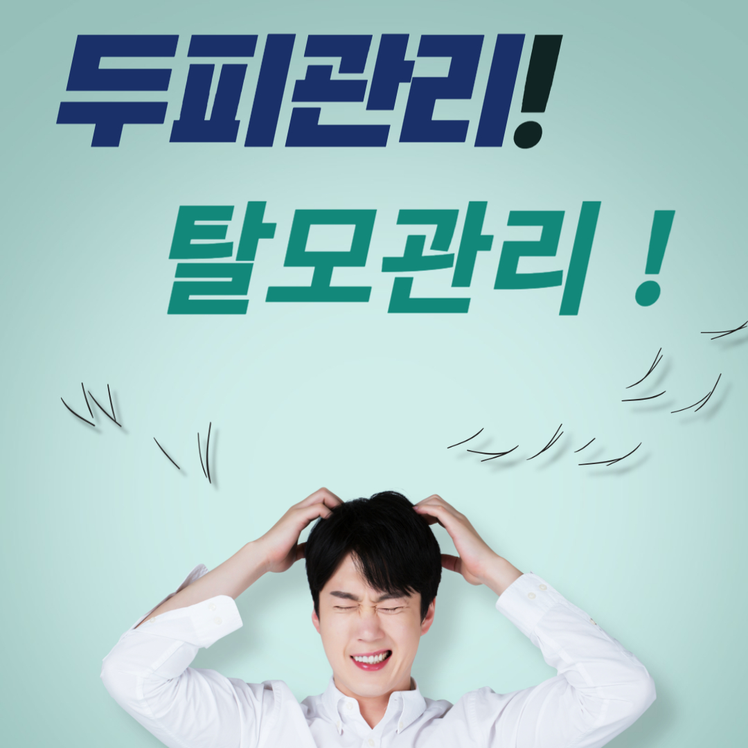두피관리