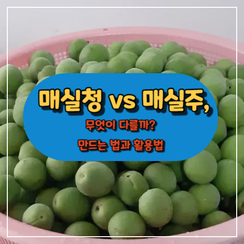 매실청과 매실주 차이점