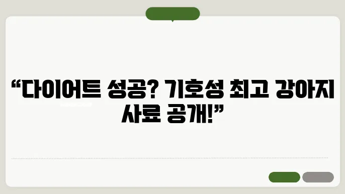 소프트한 강아지 다이어트 사료, 기호성 높은 추천 제품