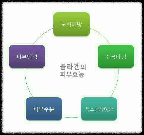 콜라겐과 치매: 두 가지의 숨겨진 연관성