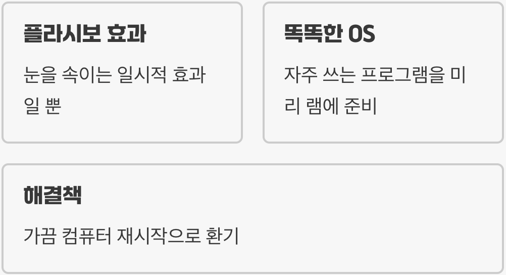상식 1: 램 클리너는 많을수록 좋다?