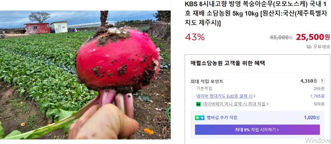 6시내고향-제주-복숭아순무