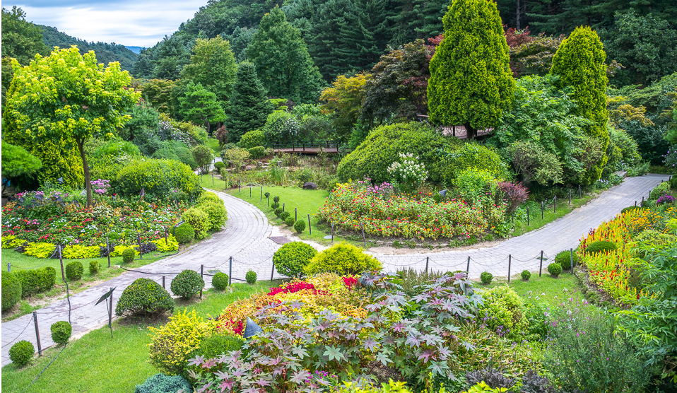 정원, 꽃 , 나무 ,풍경