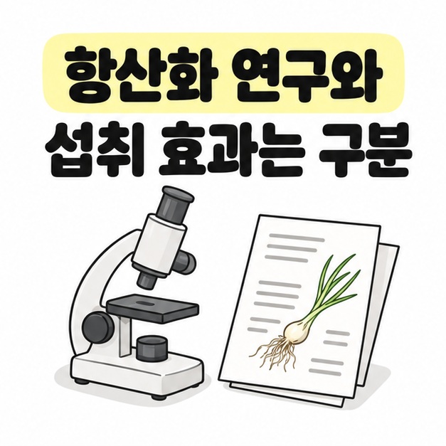 항산화 연구와 실제 섭취 효과를 구분하는 현미경과 연구 문서 그림