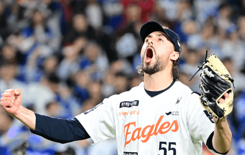 2025 한국시리즈 취소표 예매 가이드