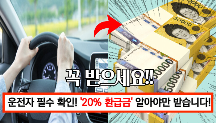 자동차 채권 매입