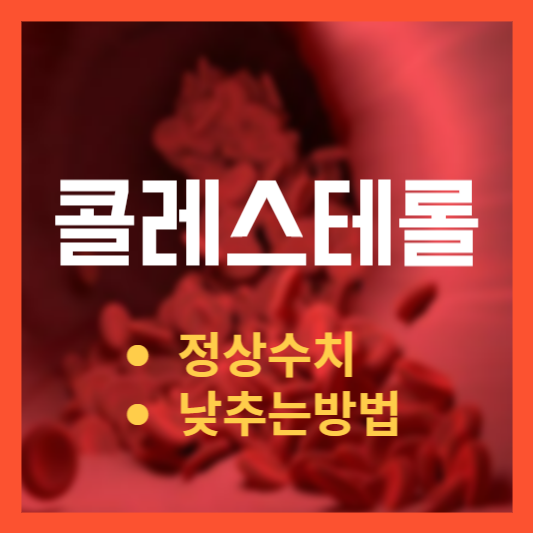 콜레스테롤 낮추는 방법, 정상수치!?