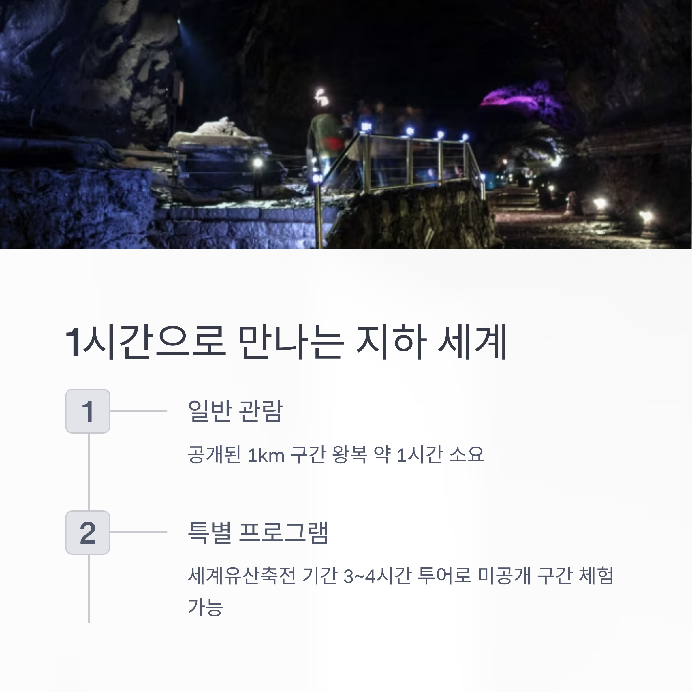 1시간으로 만나는 지하 세계
