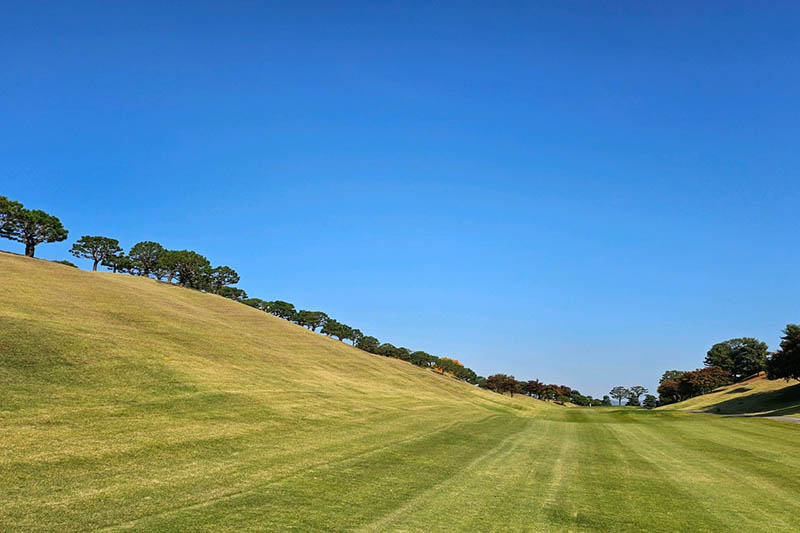 용인 기흥 태광CC 소개