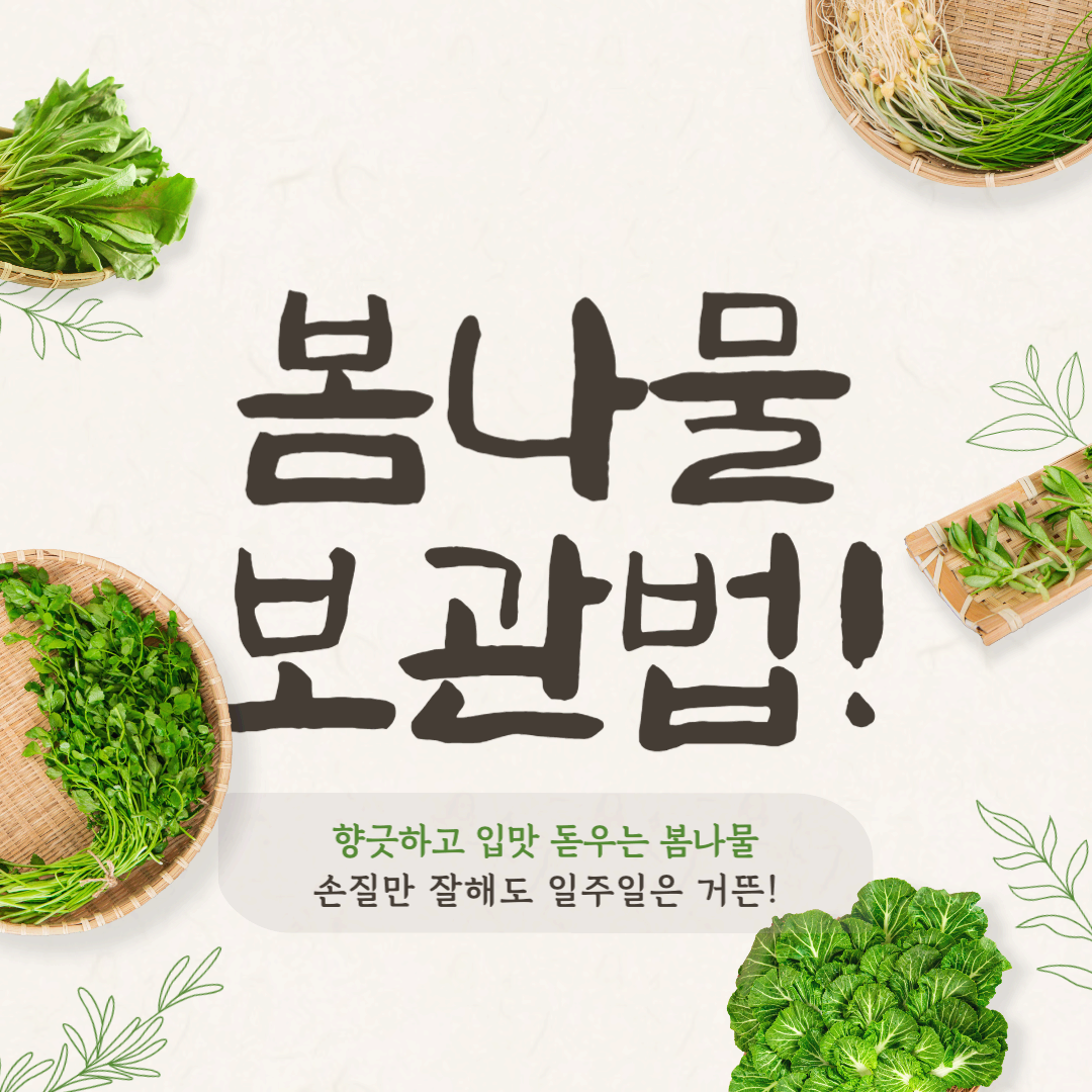 봄나물 오래 보관하는 법! 손질만 잘해도 일주일은 거뜬