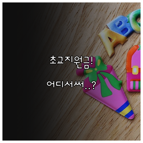 안양시 초등학교 입학지원금 지역화폐 ..