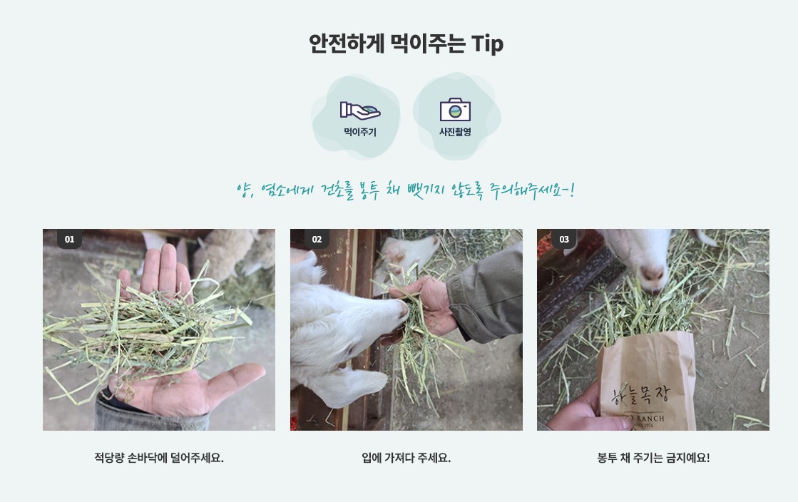 건초주기 체험장 안전가이드