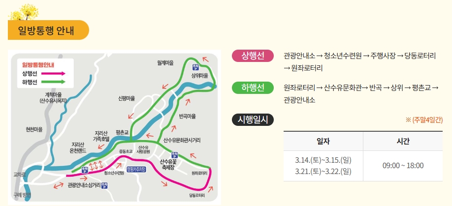 2026 구례 산수유축제 총정리