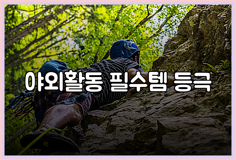 야외활동 필수템 등극