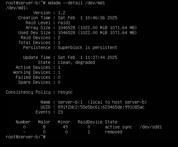 레이드 문제 발생과 조치 방법