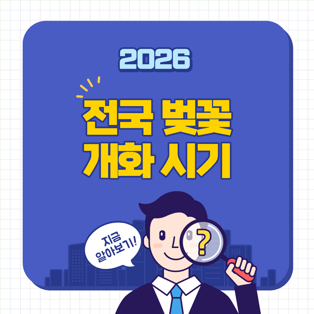 2026년 전국 벚꽃 개화 시기