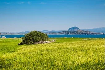 제주 가파도 가는 운진항 배 시간표 요금 예약 예매_12